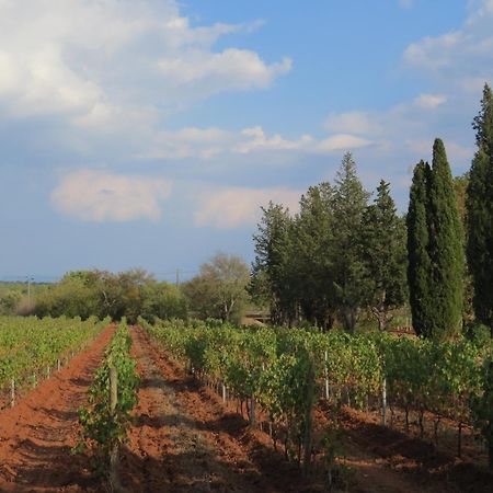 לה לוק Bed And Breakfast La Grande Lauzade מראה חיצוני תמונה