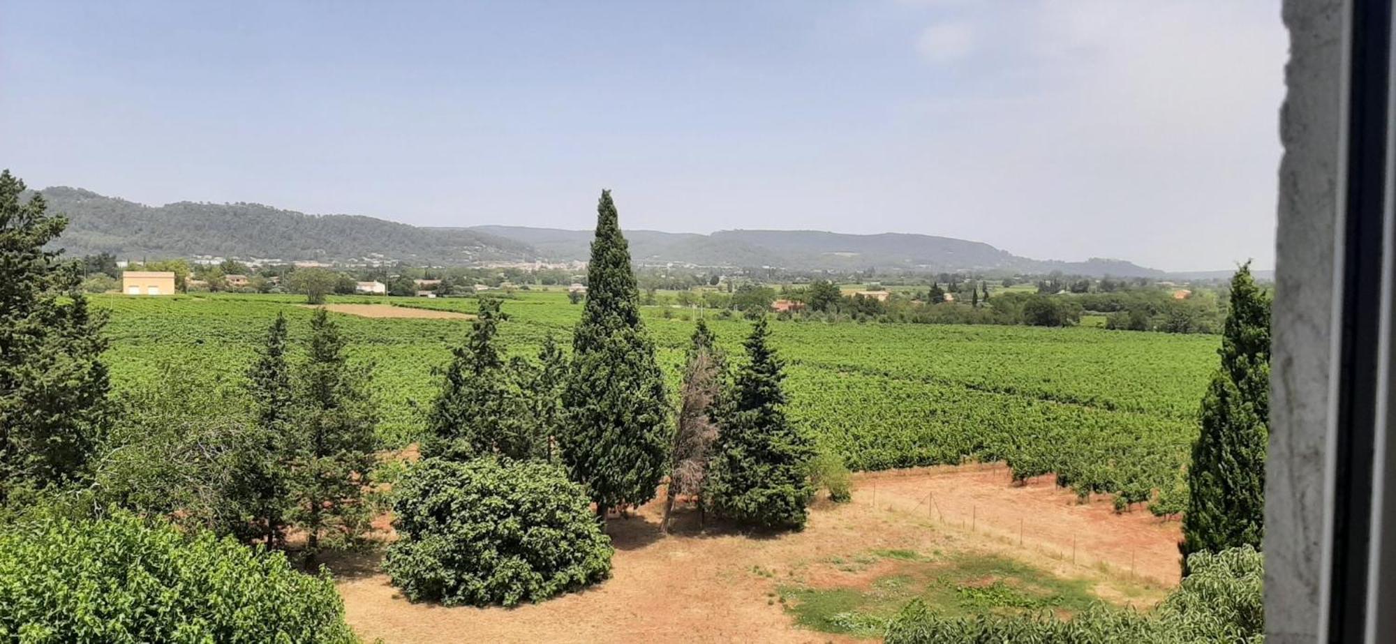 לה לוק Bed And Breakfast La Grande Lauzade חדר תמונה