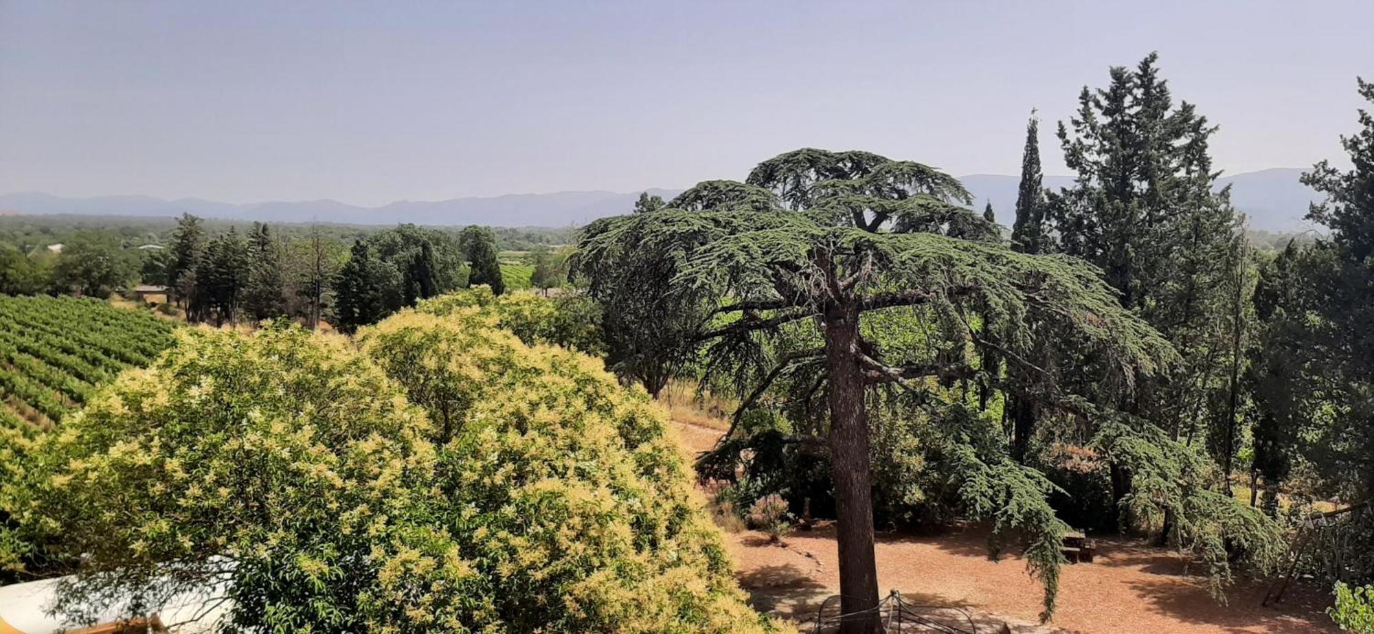 לה לוק Bed And Breakfast La Grande Lauzade מראה חיצוני תמונה