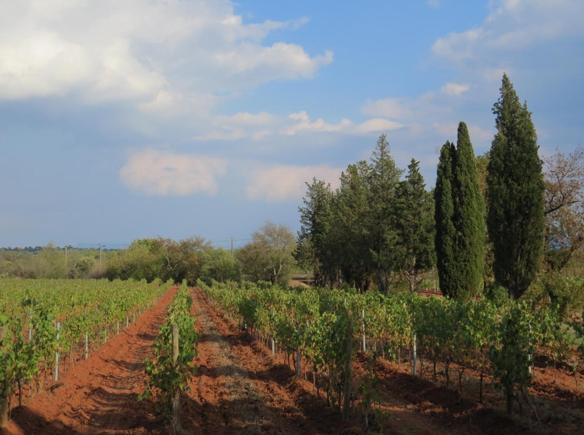 לה לוק Bed And Breakfast La Grande Lauzade מראה חיצוני תמונה